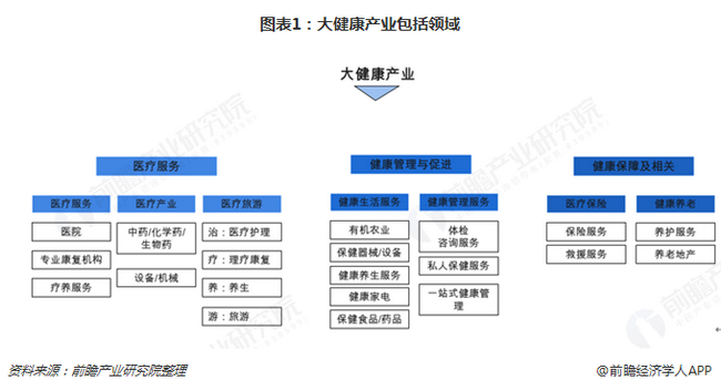 2019年中國大健康產(chǎn)業(yè)全景圖譜